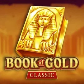 game logo by Playson on slotrizee.es